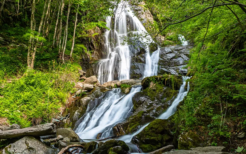 Certosa di Pesio, the Saut Waterfalls and the Forts