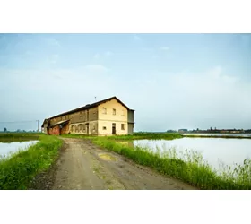 Lomellina: naturaleza y cultura en la provincia de Pavía