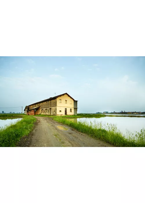 Lomellina: naturaleza y cultura en la provincia de Pavía