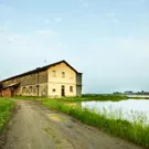 The Lomellina region: nature and culture in the province of Pavia