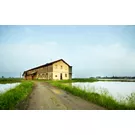 Die Lomellina: Natur und Kultur in der Provinz Pavia