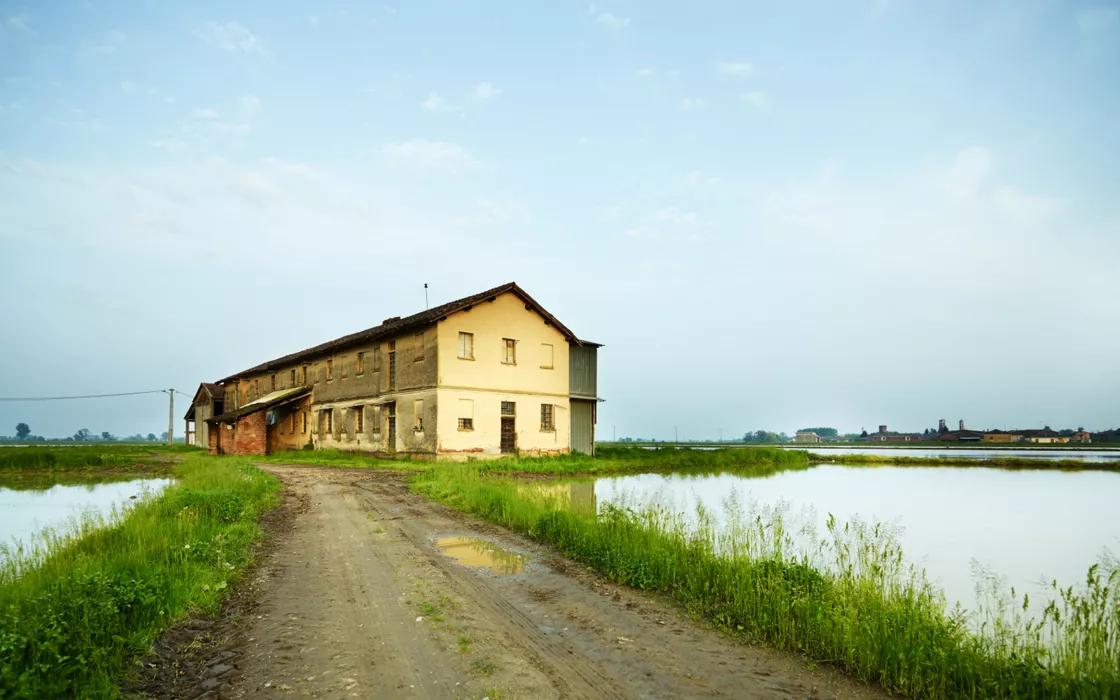 La Lomellina: natura e cultura in provincia di Pavia