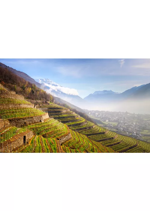 Terrazzamenti in Valtellina