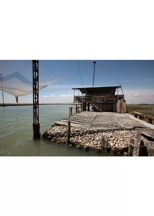 venice lagoon birdwatching fishing tourism