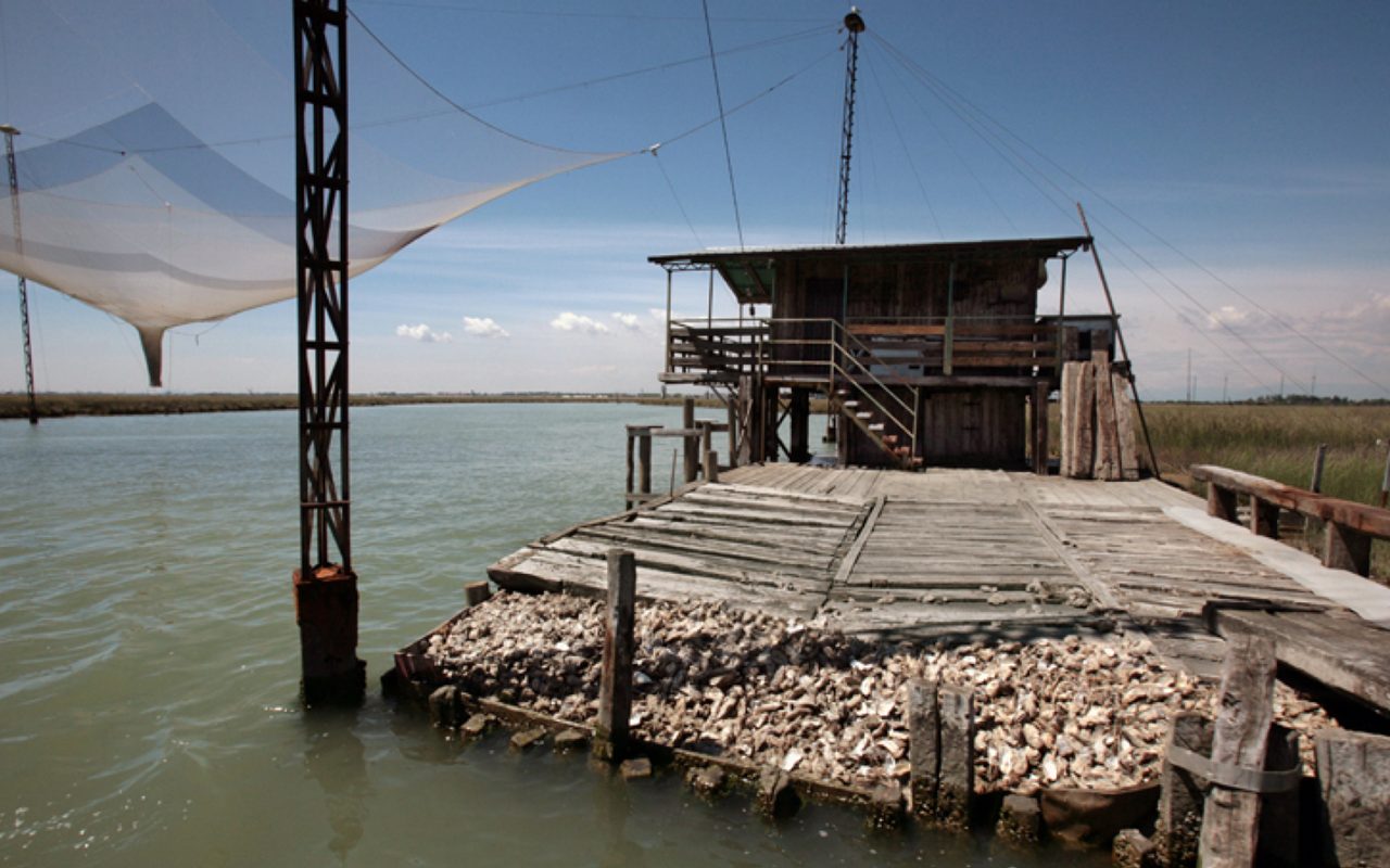 laguna de venecia birdwatching pesca turismo