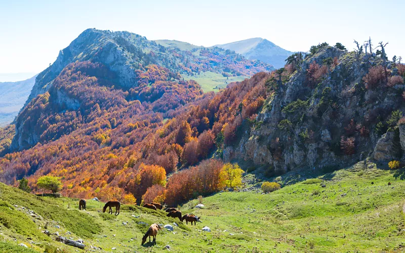 laino borgo pollino