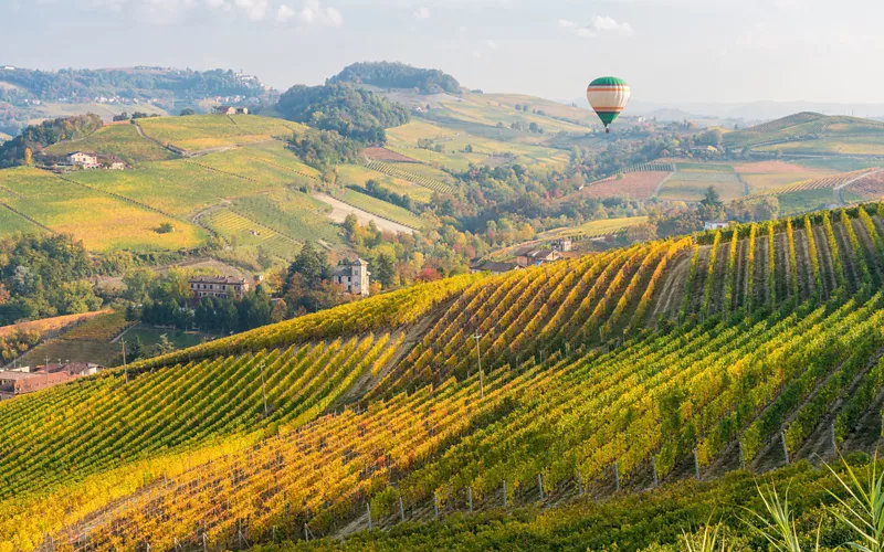 A hot air balloon flies over the Langhe in Piedmont