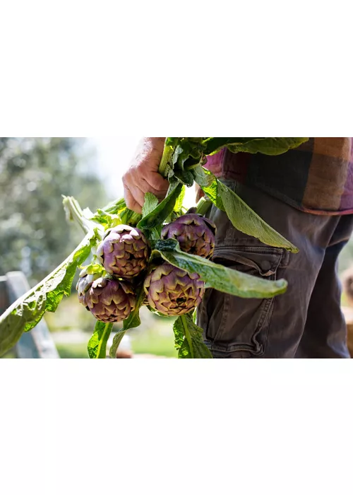 O Lácio e a sua tradição gastronómica popular, uma descoberta eterna
