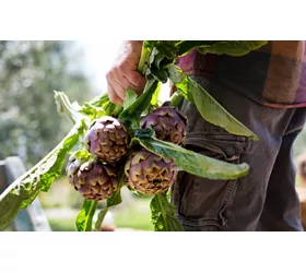 Le Latium et sa tradition gastronomique populaire, une éternelle découverte