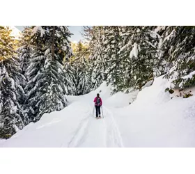 the 5 best snowshoeing in lombardy 