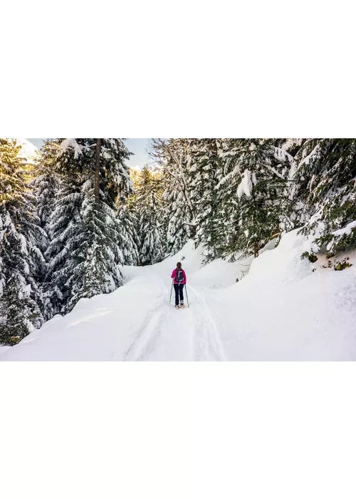 the 5 best snowshoeing in lombardy 