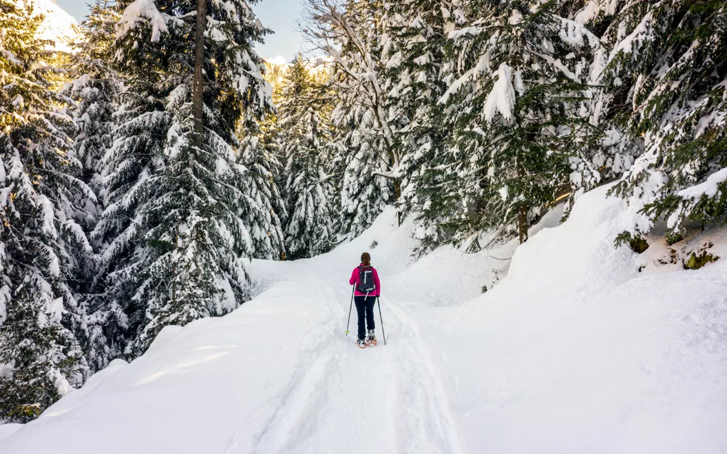 the 5 best snowshoeing in lombardy 