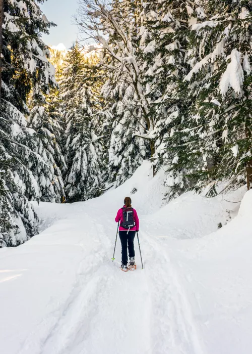 the 5 best snowshoeing in lombardy 
