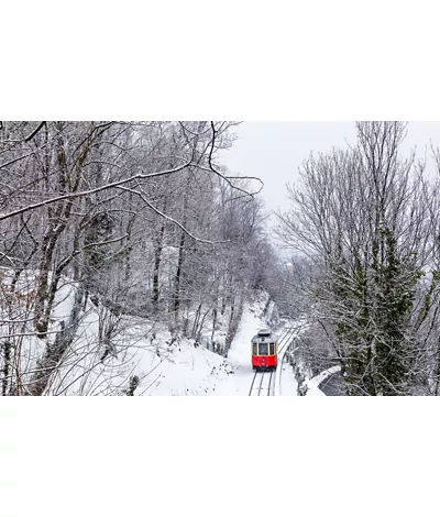 ski resorts to be reached by train