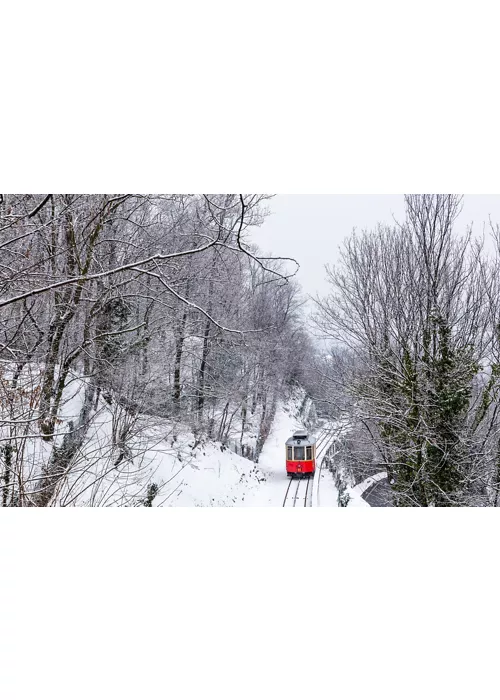 ski resorts to be reached by train