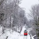 ski resorts to be reached by train