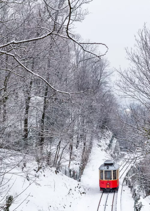 ski resorts to be reached by train