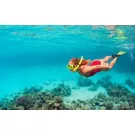 Snorkeling