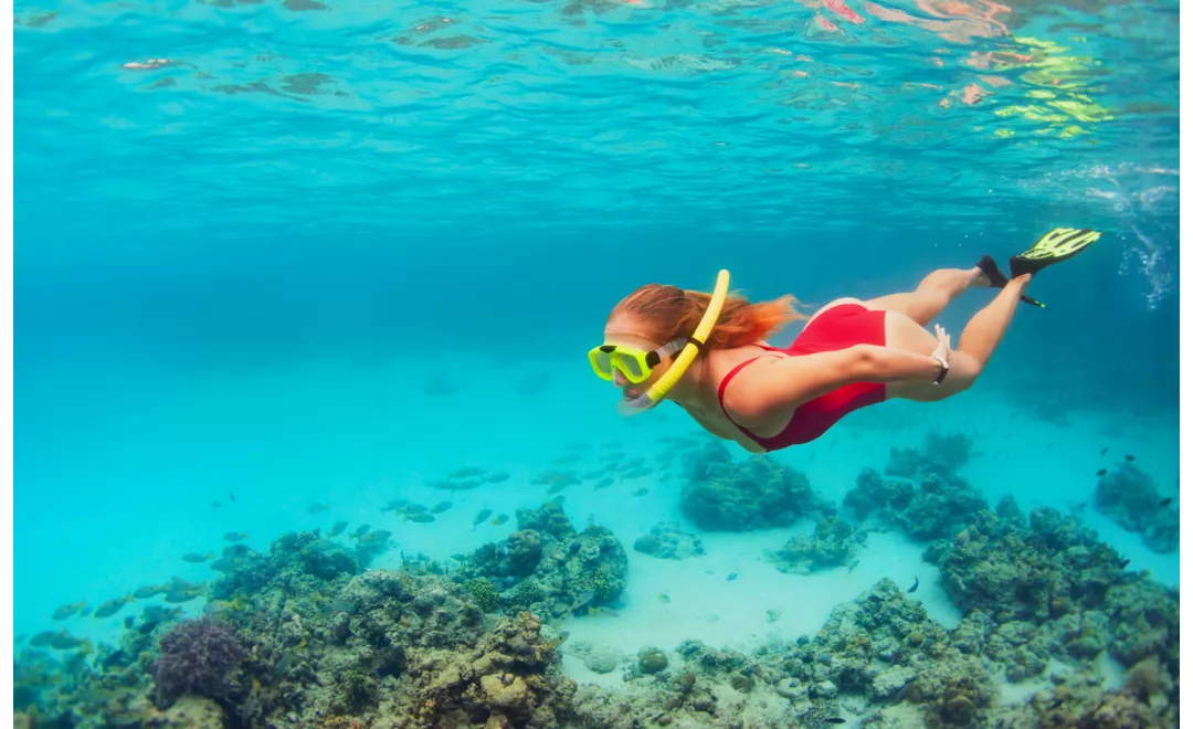 Snorkeling