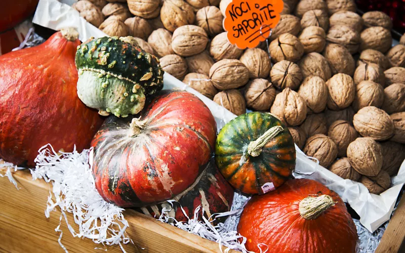 Las nueces del Bleggio