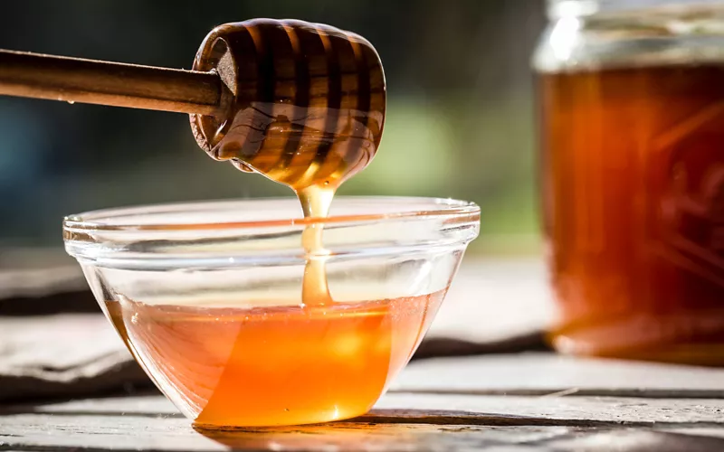 The origins of Lucanian honey