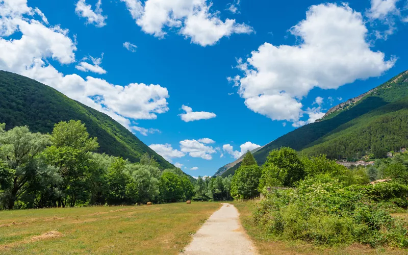 Os Wood Walks no Parque Nacional de Abruzo