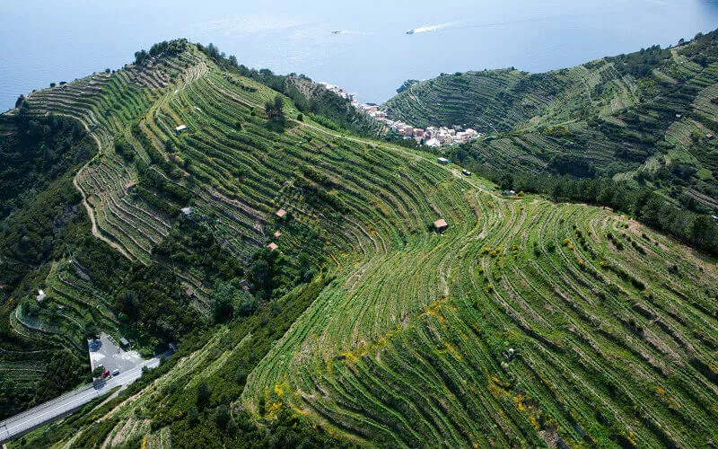 Viticultura heroica