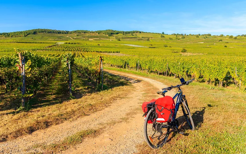 Eine Wein-Tour durch Ligurien. Hauptregionen und wichtigste Weine