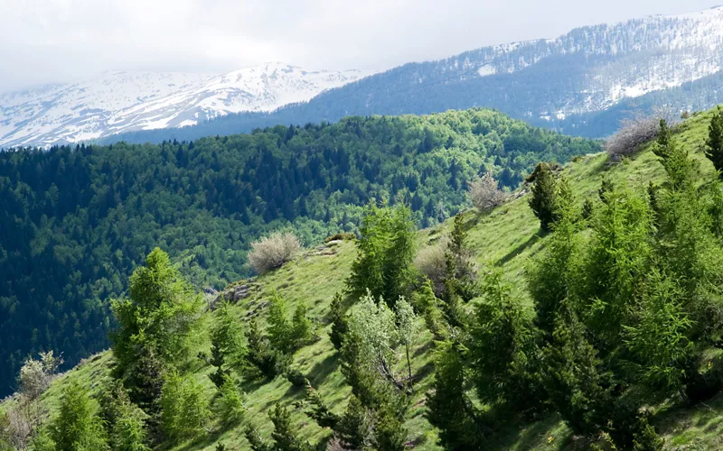 Entre los Alpes y los Apeninos, un mundo de roca que se extiende hacia el mar