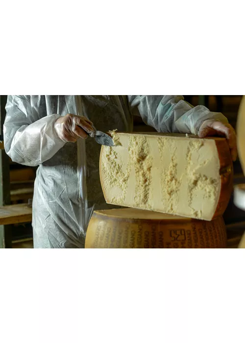 Gastronomic tourism: a tour to discover the cheeses of Lombardy
