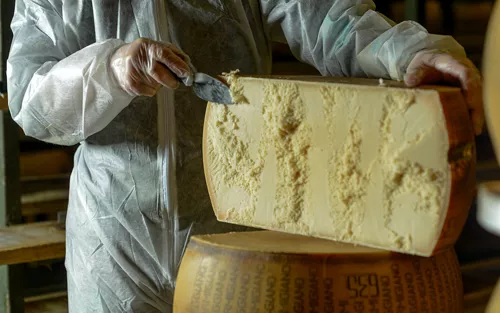 Turismo gastronómico: itinerario para descubrir los quesos de Lombardía