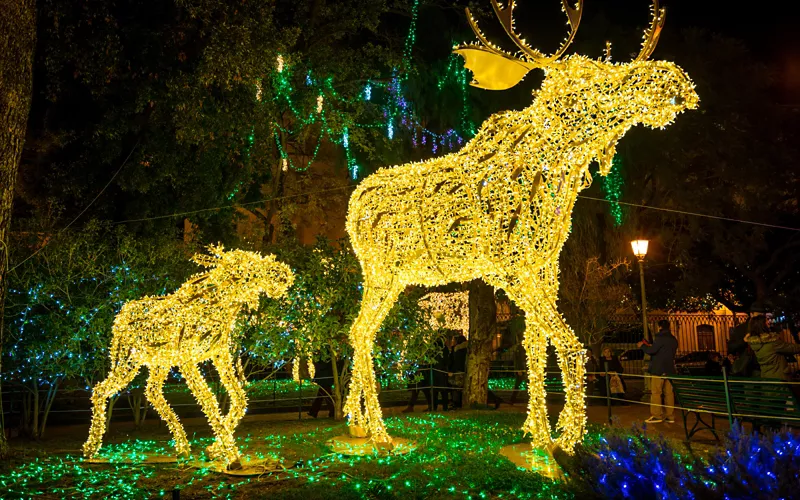 luci d'artista a salerno