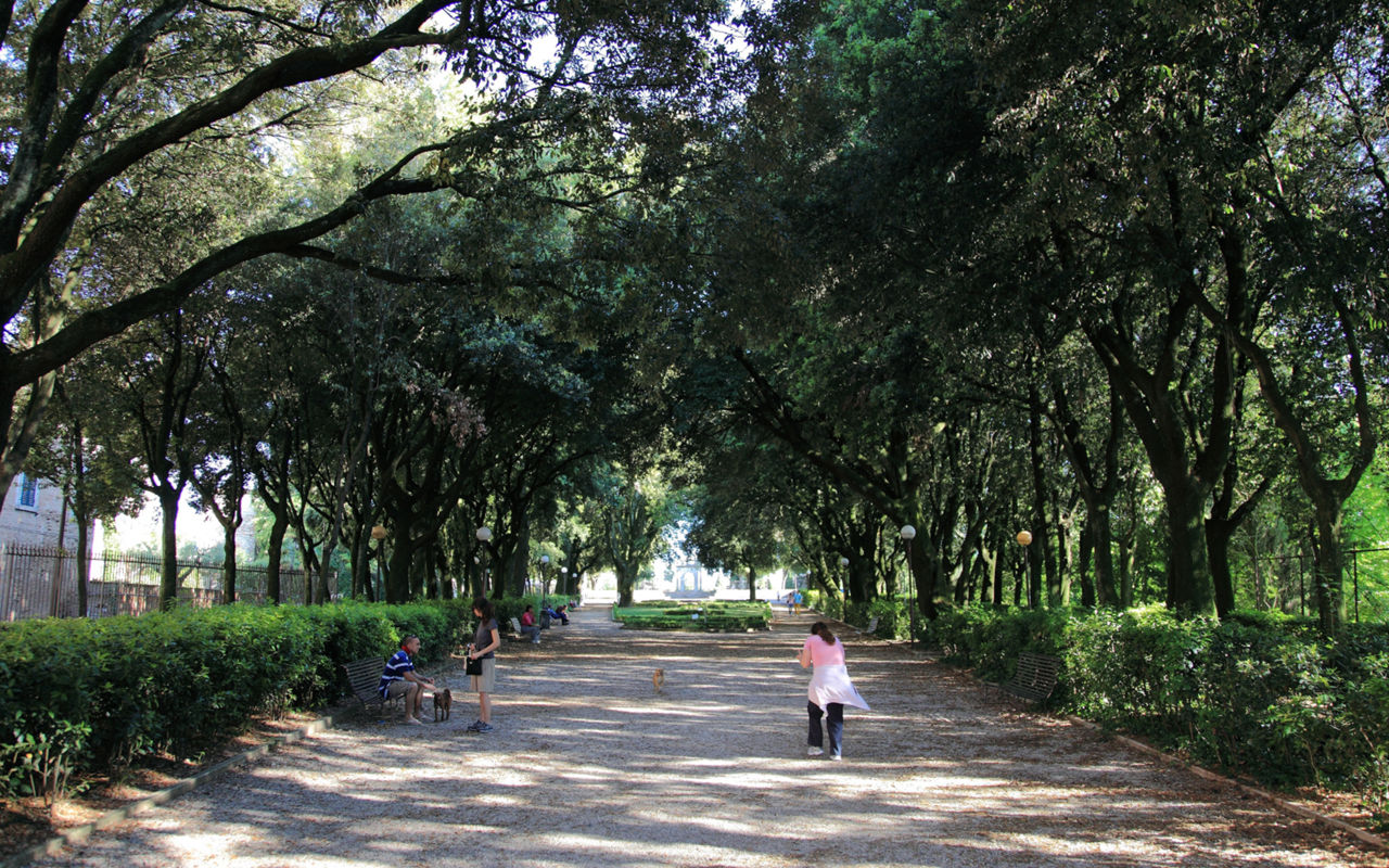 Third Paradise In Assisi - Bosco Di San Francesco - Italia.it