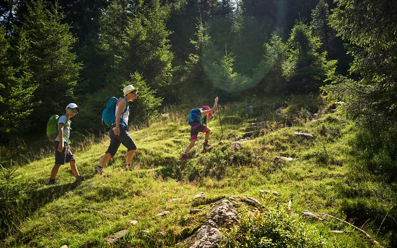 Maia: un camino de agua en constante evolución