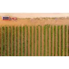 De Taranto a Manduria: a cidade, a costa jónica e a pátria do vinho Primitivo