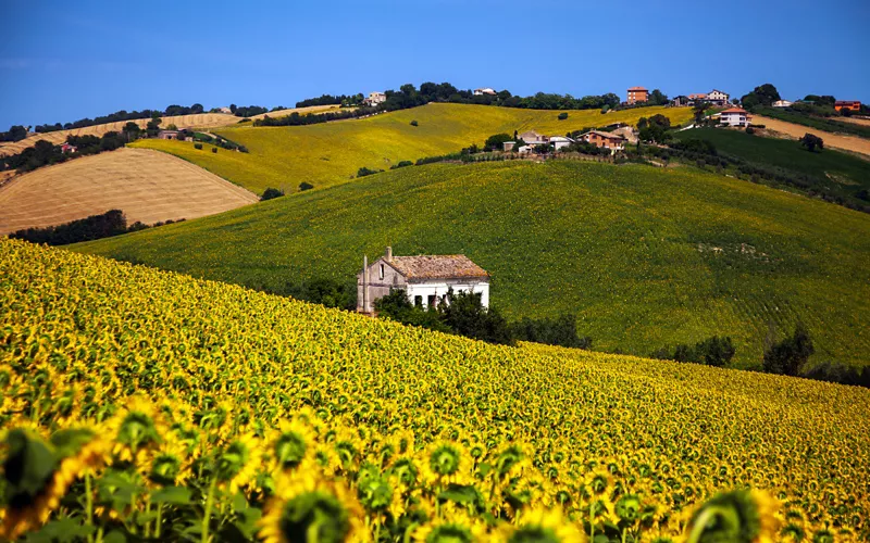 Urbinate e Montefeltro: no reino da beleza e da elegância