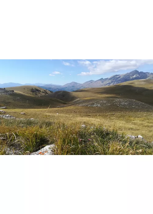 Marcas de bicicleta: de Morichella a Piani di Ragnolo