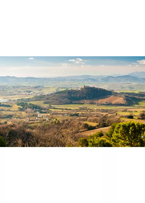 Le Marche, un territorio di prodotti sopraffini tutti da svelare