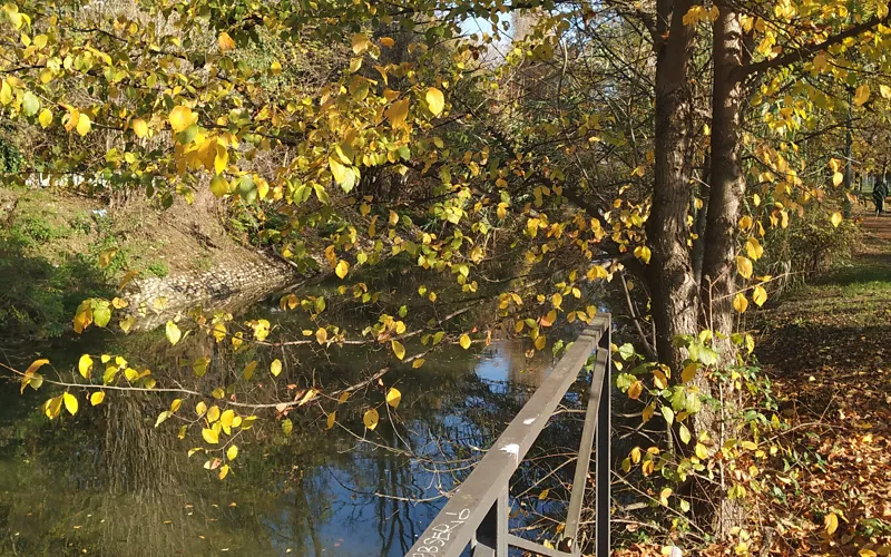 Die Dominanz der Gewässer