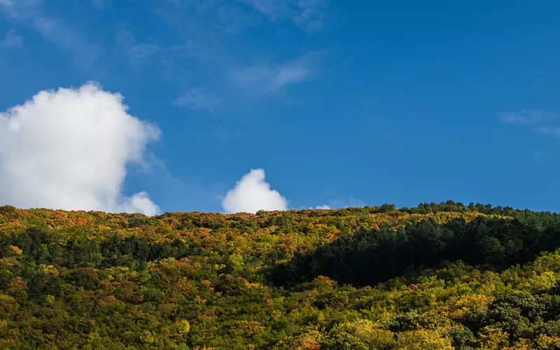 Franziskanische Erinnerungen und Umweltschutz