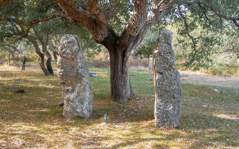 Les menhirs de Goni, la Stonehenge sarde