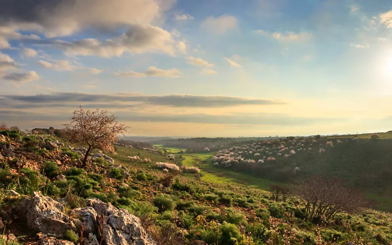 murgia gravina