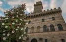 christmas in montepulciano