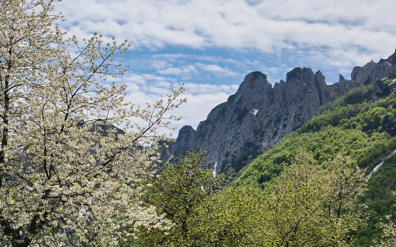 En el búnker alemán, donde revivir la historia