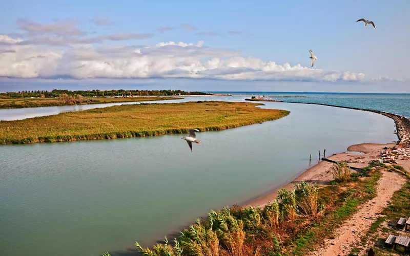 Nel Parco del Delta del Po per una Pasqua tra fenicotteri rosa e tartarughe