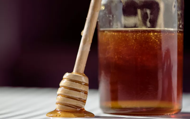 Der Nektar von Capraia