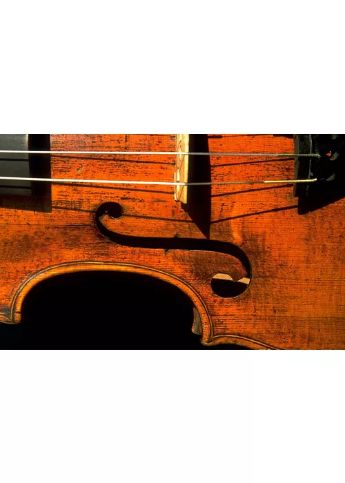 Il «Cannone» de Niccolò Paganini