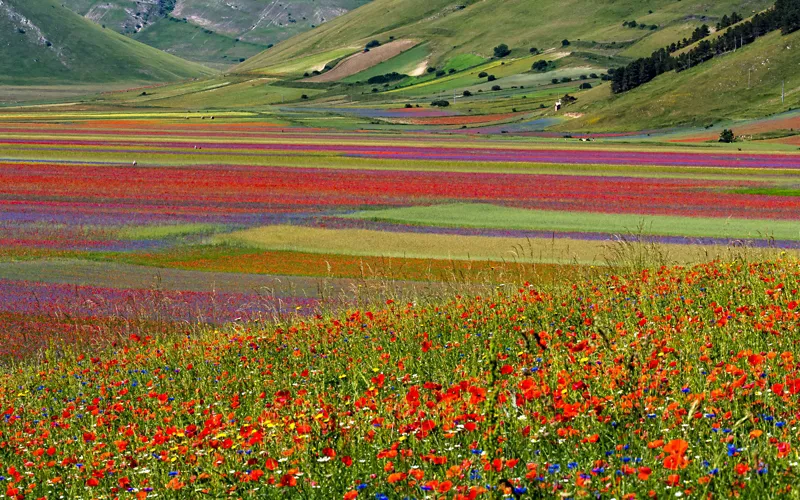 norcia sibillini