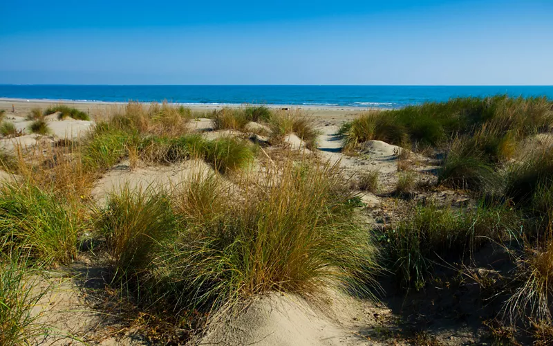 The Dune degli Alberoni Oasis and the tegnùe: the lagoon you don't expect