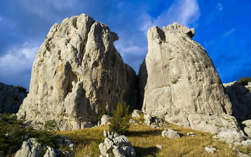 Une oasis verte